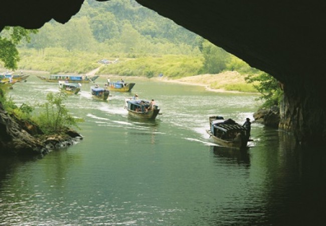 phong nha
